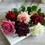 @ebtisamemhamed8185