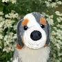 @Jo-And-Her-Pupz