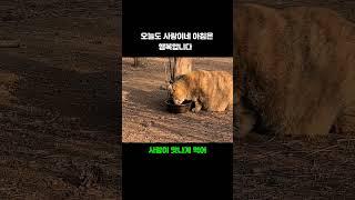 오늘도 사랑이네 아침은 행복합니다  #shortvideo