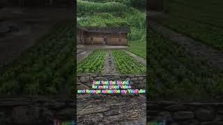 don't worry if you subscribe my YouTube channel u r not die just subscribe and like tha video#nature