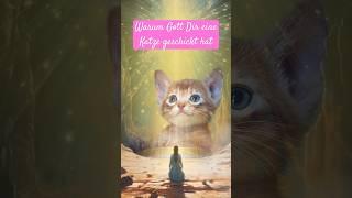 Warum Gott Dir eine Katze geschickt hat - Spirituelle Bedeutung | #spiritualität #katze #motivation