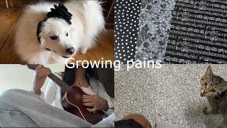 digital diary 8 l growing pains