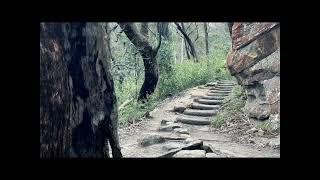 Weekend Getaway from Sydney: Hiking the Stunning Grand Canyon in Blue Mountains National Park