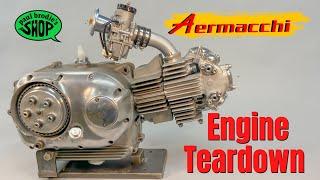 Aermacchi engine tear down // Paul Brodie's Shop