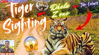 TIGRESS SIGHTING  I SAW THE TIGRESS EVEN AFTER MISSING IT TWICE IN DHELA ZONE SAFARI 