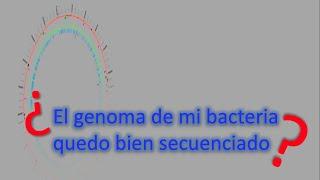 ¿El genoma de mi bacteria quedo bien secuenciado?