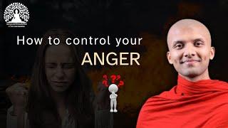 Want to Master Your Emotions? Watch This Now | Buddhism in English #lifeanddharma