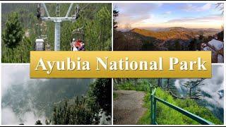 Ayubia National Park | KPK Pakistan | Geography | WildLife