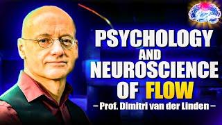 The Neuroscience and Psychology of Flow | Professor Dimitri van der Linden | 12