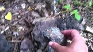 Hidden Rock Geocache