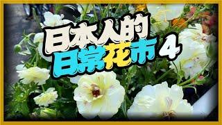 【日本園藝店-4】日本網紅植物(下)。這些小草花也太可愛，厲害一點的綠手指，台灣也可以種得起來喔。