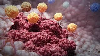 Intervoke Medical Animation Reel 2024