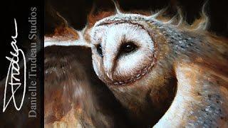 Flying Barn Owl Timelapse Painting by Danielle Trudeau