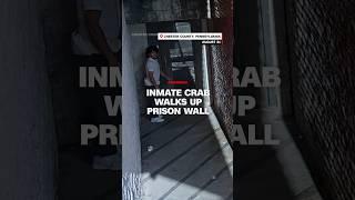 Video shows inmate crab walk walls sideways to escape prison