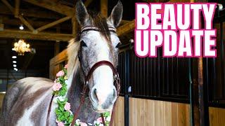 I CAN'T BELIEVE HOW AMAZING THIS AUCTION MARE TURNED OUT!