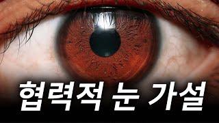 인간의 눈이 위험한 도박인 이유