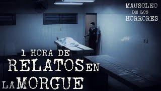 RELATOS EN LA MORGUE VOL. 4 | ESPECIAL 150K SUSCRIPTORES| HISTORIAS DE TERROR