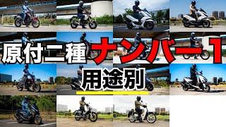 原付二種の用途別おすすめナンバー1車種を発表！今まで試乗した13台からチョイス