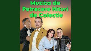 Muzica de Petrecere Hituri de Colectie