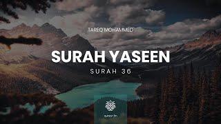 Surah Yaseen | Qari Tareq Mohammed | سورة يس | القارئ طارق محمد