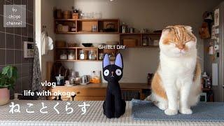 Daily life with cats starting with breakfast/Life & Ghibli/GHIBLI PARK(Cat & Life vlog)