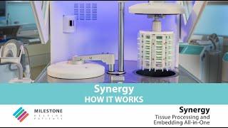 Synergy Auto-Embedding System - How it works