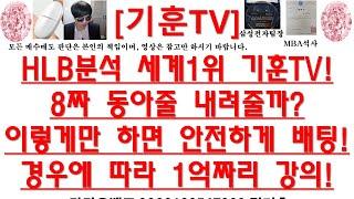 [주식투자]HLB(HLB분석 세계1위 기훈TV!/8짜 동아줄 내려줄까?/이렇게만 하면 안전하게 배팅!/경우에 따라 1억짜리 강의!)