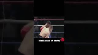 Мирко Кро Коп топовый тяжеловес MMA #Shorts mma