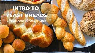 Intro to Yeast Bread (how yeast works, dry yeast, active dry yeast, instant yeast) | Baking School