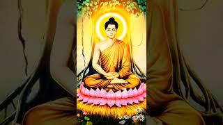 Nam Mô Bổn Sư Thích Ca Mâu Ni Phật || Nhạc Niệm Phật 