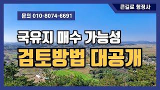 (국유지 검토방법 대공개) 국유지 매수 가능성 #토지컨설팅 #맹지탈출