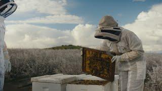 Age of Change: Better bee care with a scientific approach