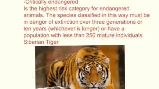 Endangered Species introduction
