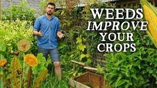 Why I Stopped Weeding the Garden | The BEST Weed Control Tip