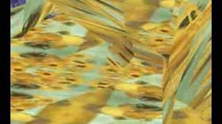 Van Gogh starry sky sunflowers screen saver animation