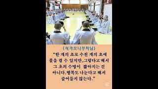 #석가모니부처님# #김이현 定慧#禪어록,#참선 ,#선불교,#간화선 ,#명상,#수행,#수행#자신과의 만남,