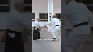 Gyakuhanmi Katate Dori | Kokyu Nage | Jo Nage | Aikido