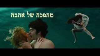 מיקי קריינים -טולה דמארי - תדמית דור האחד