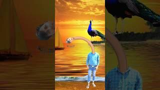 Artificial peacock water transport to rescue drought special effects #funny  #shorts  #comedy #ship