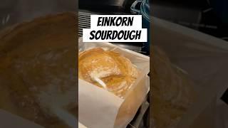 Homemade Einkorn Sourdough #bread #einkorn #sourdough #sourdoughbread #healthyfood #organic #yummy