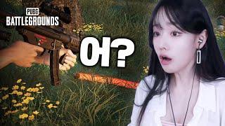 진정한 눈 멀어버린 치킨, 다시보기 보기전까지 어떻게 된 일인지 몰랐음ㅋㅋ #pubg