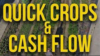 Fast Cash with Quick Crops:  Secrets to Boosting Your Cash Flow!