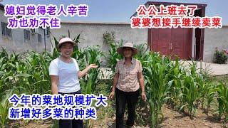 公公上班去了，今年菜地规模扩大，新增好多菜，婆婆想接手继续卖菜，媳妇觉得老人辛苦，劝也劝不住