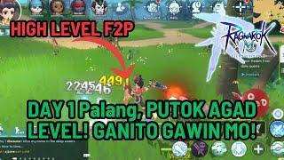 Ragnarok M: Classic DAY 1 F2P Level 55+ POWER LEVELING GUIDE STEP BY STEP ALL YOU NEED TO KNOW