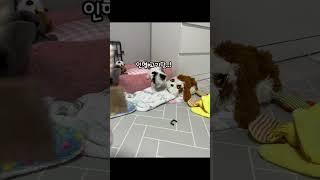 주의) 맹수의 사냥영상이 담겨있습니다. 시청에 주의하세요.