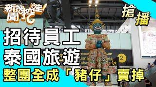 【搶播】招待員工泰國旅遊！整團全成「豬仔」賣掉？