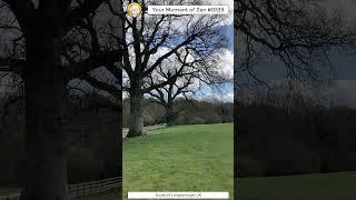 ScienceMan Moment of Zen 0539 #peaceful #hike #walk #cotswolds #uk #nature #asmr