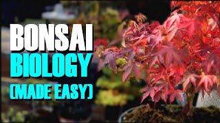 Bonsai Tree Biology (*Made Simple*)