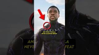 Black Panther's Hidden Detail Everyone Missed