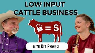 Low Input Cattle Business with Kit Pharo